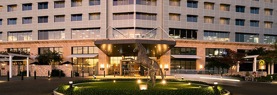 the-william-inglis-hotel-slider